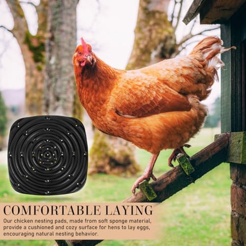 Toyvian Chicken Nesting Pads 4 Pack Washable Nesting Box Liners Soft Sponge Egg Laying Mats for Coop Use Textured Surface Easy-Cut Poultry Care Supplies 12.00 X 12.00 X 0.39 in