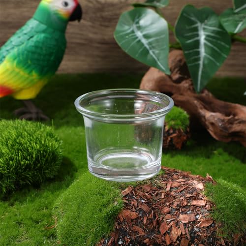 Angoily Oriole Feeder Replacement Cups, 5pcs Glass Bird Feeder Cups Replacement, Outdoor Hanging Small Bird Feeding Bowl, Durable Outdoor Accessories for Garden Patio Balcony