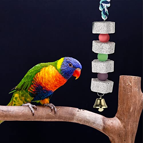 Sanwuta 4 Pack Bird Toy Bird Beak Grinding Stone Parrot Chewing Toys with Bell Bird Cage Accessories Parrot Beak Stone Lava Block Calcium Stone for Parakeet Cockatiel Conure Hamster Chinchilla Rabbit