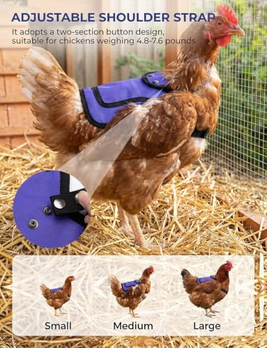 4Pcs Chicken Saddles for Hens with Anti-Drop Strap Hen Apron Back Protector | Poultry Flock Armor Clothes for Protection, Adjustable Touch Fastener for Feather Fixer