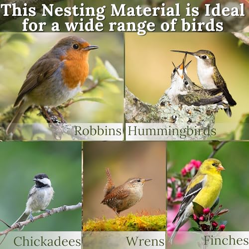 Hummingbird Nesters Bird Nesting Material Holder for Wild Birds Humming Bird House Materials Gifts for Bird Watching Nature Lovers Refillable Outdoor Bird Station (3 Balls Safe Nesting Starter Kit) - color: 3 Balls Safe Nesting Starter Kit