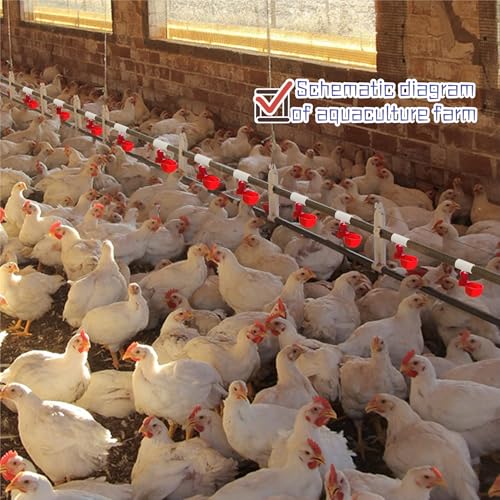 8 Pack Automatic Chicken Waterer Cups with 1/2" PVC Tee Fittings Chicken Water Cups, Chicken Water Feeder, for Chicks, Duck, Goose, Turkey. Poultry Waterer Feeder Kit - size: 8