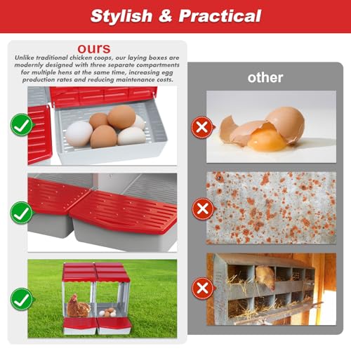 2 Hole Chicken Nesting Box with Rolling Egg Collection Design | Rolling Egg Collection & Protection Nesting Boxes, Avoid Broken Eggs, Ideal for Coops, Backyard & Family Chicken Raising - size: 2 Compartment