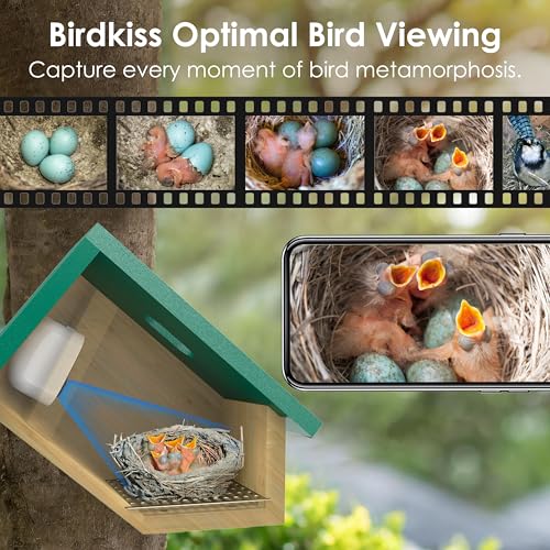 Smart Bird Houses for Outside Solar Powered, 1080P HD Live View Birdhouse with Camera, Perfect Viewing Bird Nesting and Hatching, Ideal Outdoors Bird House for Blue Bird and Cardinal (Green) - color: Green