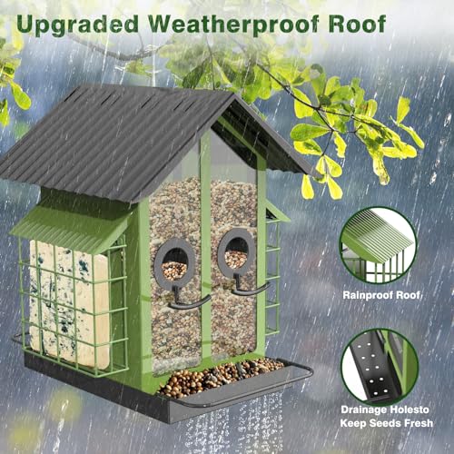 FlowaFoli Bird Feeders for Outdoors, Metal Bird Feeder with Double Suet Cage Weatherproof Metal Roof, 2 in 1 Mixed Seeds Suet Feeder, 4Lbs Large Capacity, Great for Finch、Cardinal、Chickadee（Green） - color: Green