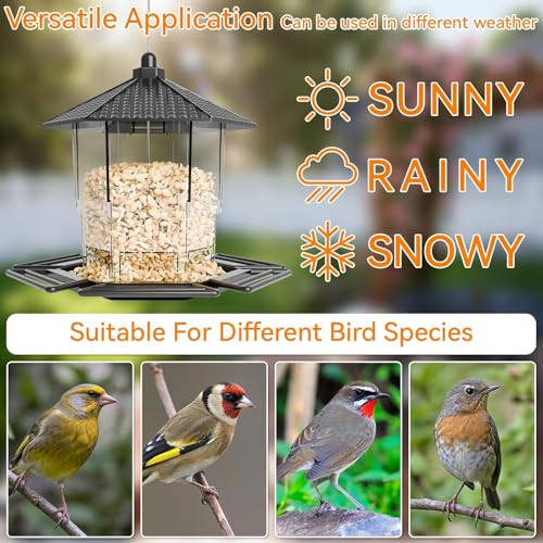Hopper Bird Feeders for Outdoors Hanging,Black 455