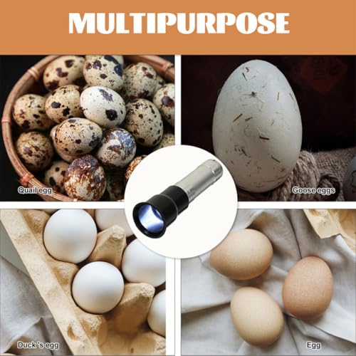 TEHAUX 2pcs Handheld Egg Candler Lamp for Poultry Incubation Equipment High-Brightness Lamp Beads and Aluminum Alloy Body Portable Egg Tester for Chicken Incubation