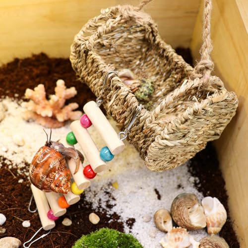 Hermit Crab Hideout with Ladder, Lizard Climbing Toys, Hermit Crab Hut with Aquarium Plants, Reptile Habitat for Gecko Hamsters Rats Birds
