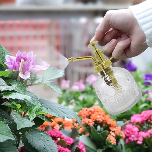 Glass Plant Mister Spray Bottle, 230ML Vintage Plant Spritzer, Succulent Watering Bottle Glass with Top Pump, Small Plants Sprayer Watering Can for Indoor Outdoor House(Clear) - color: White Gold
