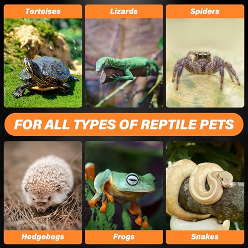 HealSmart Reptile Heat Lamp 75W 2-Pack Ceramic Heat Emitter, No Light Emitting Heat Bulbs for Amphibian Pet Brooder Coop Incubating Chicken, Lizard Bearded Dragon Turtle Snake Terrarium, Black - size: 75 Watts, style: D-75mm (2.95")
