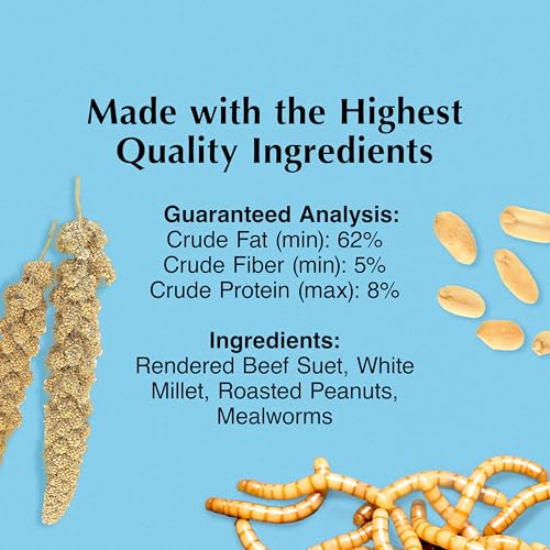 C&S Mealworm Treat Suet Treat, Suet Cakes for Wild Birds, Pack of 8 | Suet cakes for woodpeckers, made with real insects, use in a suet feeder year-round - style: Mealworm Treat, 8 Pack