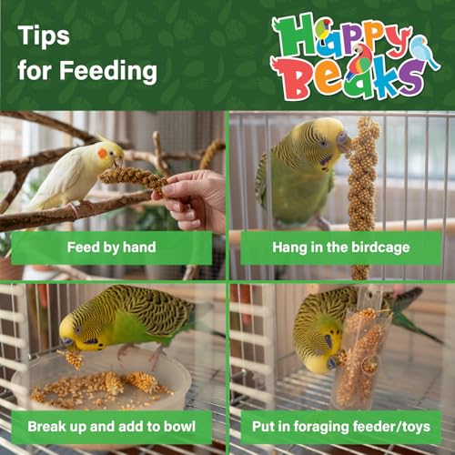 A&E Cage Co Premium French Millet Spray Bird Treat, 2 lb Bulk Bag | Grown in France, No Artificial Preservatives, Fiber & Mineral Rich, For Breeders & Multi-Bird Households - size: 2lbs