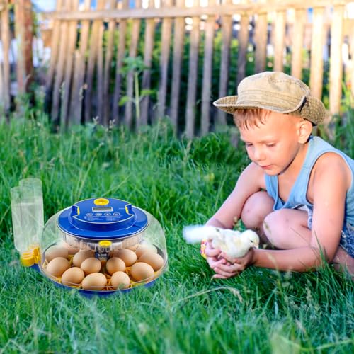 18 Egg Incubator Automatic Egg Turner Temperature & Humidity Control, Incubators for Hatching Eggs, Chicken, Ducks, Goose, Pigeon, Quail, Parrot Incubator Farm,Lab,Science Classroom,Home (Blue-18 Egg)