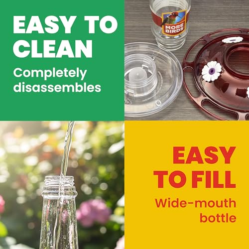 More Birds Bird Health+ Ruby Hummingbird Feeder, Glass Hummingbird Feeders for Outdoors, 4 Feeding Stations, 10 Ounces, Ruby Red