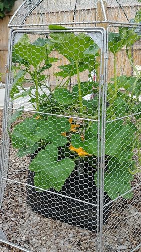 Gardener's Supply Company Chicken Wire Super Dome Plant Protector | Durable Weatherproof Low Carbon Steel Hinged Doors for Easy Access | 45" (Side to Side) 51.5" Height