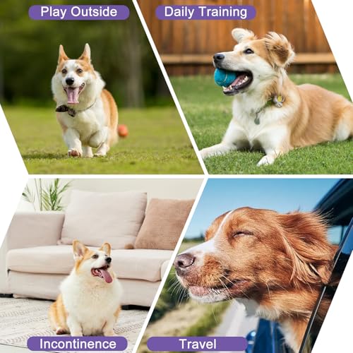 Female Dog Diapers Reusable No Tail Hole Period Panties Washable Diapers Female for Docked-Tail Frenchie French Bulldog Boston Terrier Without Tail (2 Pack Regular+2 Pack Skirts) U-WWDQB02XL - size: XL(Waistline:26"-34")