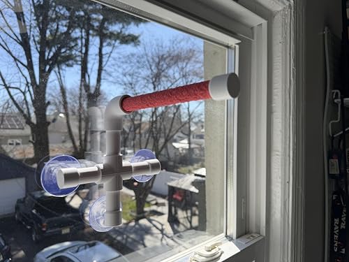 CleanPerch™ Window Bird Perch with Suction Cups. Grooming & Outside Viewing Perch for Parrots, Conures & Small Birds. Window-Mounted Bird Stand (White/Pink, 6") - color: Pink, size: 6"