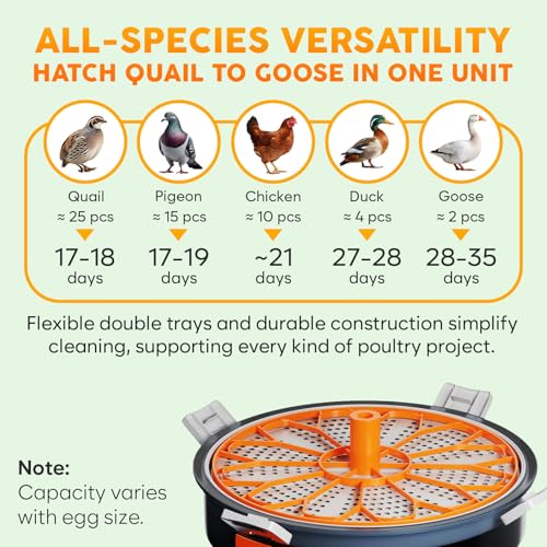 12 Egg Incubator with Automatic Egg Turning and Humidity Control – Temperature Adjustment – incubators for hatching eggs – Built-in Egg Candler – Incubadora de Huevos de Gallina – Easy to Use