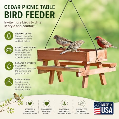 Cedar Picnic Table Bird Feeder - Made in USA
