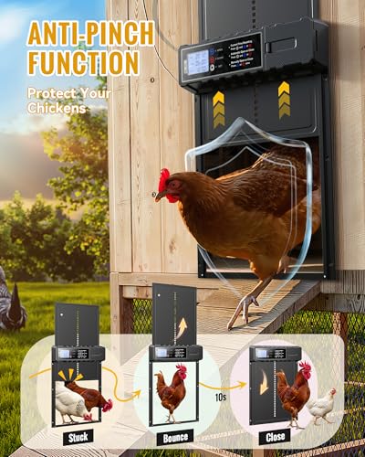 Automatic Chicken Coop Door Solar Powered XL Chicken Door 3 Modes | Aluminum Alloy, USB-C Charging, XL Large Opening 10.8x14.2in Timer Remote Manual Anti-Pinch Safety Waterproof IP65 - Black - color: Black