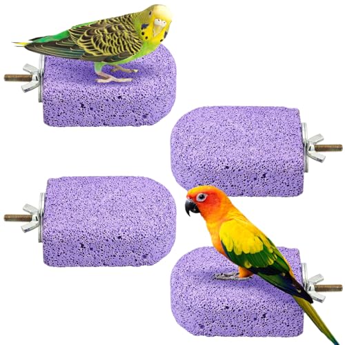 BNOSDM 4 Pcs Purple Bird Beak Grinding Stone Calcium Parrot Perch 3.1*2.6in - color: 4 Pcs- Purple (M+)