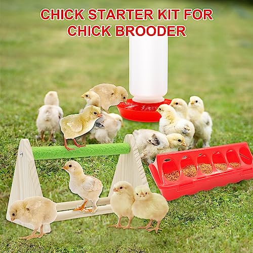 Chick Feeder and Waterer Kit with Chick Perch, 1l Chick Waterer, Flip Top Poultry Feeder, Chick Starter Kit for Chick Brooder, Baby Chicken Supplies for Baby Chick, Duck and Quail - color: Chick Feeder and Waterer Kit with Chick Perch