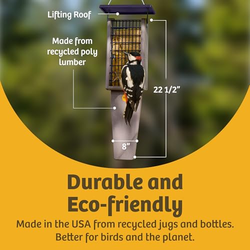 Birds Choice Pileated Suet Feeder with Tail Prop, Holds 2 Suet Cakes | Hanging Suet Bird Feeder for Woodpeckers, Jays, Nuthatches | Sturdy for Garden & Backyard | Taupe & Green, 8" L x 3" W x 22.5" H | Hanging Feeder for Woodpeckers, Jays and Nuthatches,
