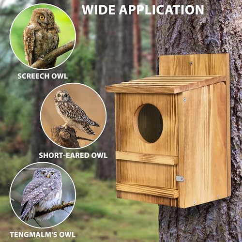 Barred Owl House, 9" x 14.5" Large Owl Bird Box Handmade, Brown | Wooden Circular Opening for Outside with Mounting Screws and A Bag of Wood Shavings, Easy Assembly Required, Easy to Clean - color: brown, size: 9" x 14.5"