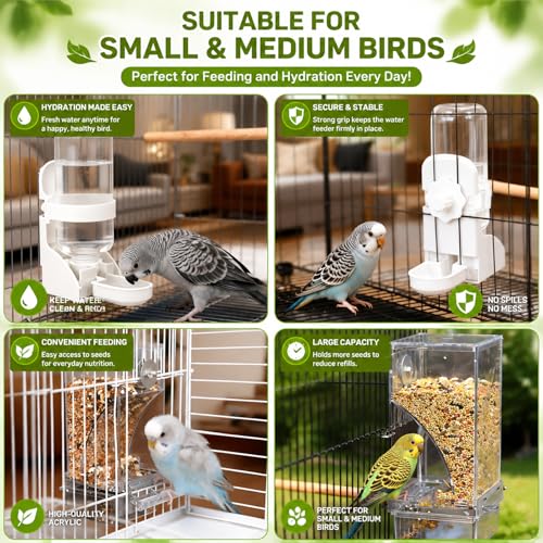 Rypet No-Mess Bird Feeder and Water Dispenser Set for Small Birds | Automatic Bird Feeder, Transparent Acrylic Food Container, Helps Reduce Seed Scatter, for Parakeet Cockatiel Parrot Canary - color: White Feeder + Drinking Bottle