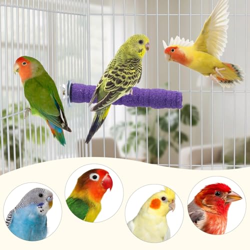 Litewoo Pet Bird Perch Parrot Rough-surfaced Stand Toy Branch Nature Wood Quartz Sand Branches Nail Perch for Small Medium Birds Cockatiel Parakeet Conure Cage Accessories (Purple, 4.3in) - color: Purple, 4.3in