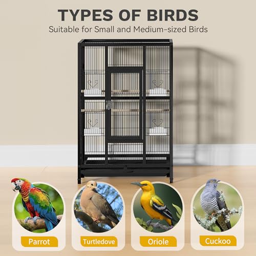 DWVO 53.9-Inch Metal Bird Cage | Large Parrot Cages with Seed Catcher & Cover - Rolling Stand with Brakes - color: Black, size: 24.0"L x 16.9"W x 53.9"H
