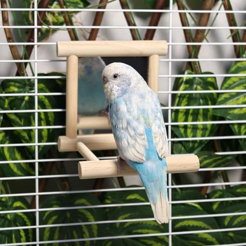 2Pcs Bird Mirror Parakeet Mirror Perch Stand Wooden Swing Mirror Toy Cage Accessories for Parrots Budgies Parakeets Cockatiels Lovebirds Finches - size: 2 Pcs