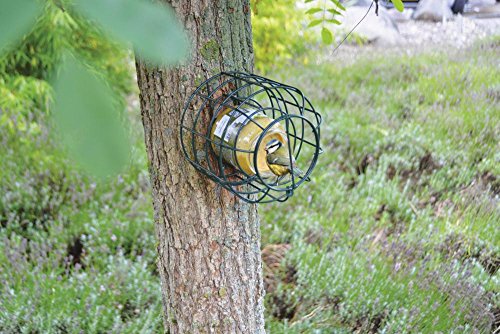 Esschert Design FB289 Squirrel Proof Peanut Butter Feeder