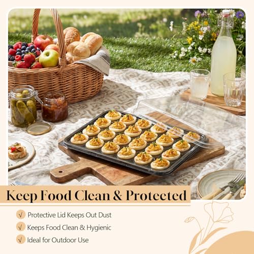 Shellwei 5 Pack Extra Large Deviled Egg Containers with Lids | Holds 120 Eggs Total (24 Each), Disposable Deviled Egg Tray Stackable Platters Trays for Party, Picnic & Fridge Storage - style: Square