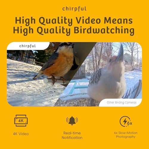 Birds Choice Smart Bird Feeder with Camera | Solar Powered Bird Watching for Outdoors | AI to Identify Bird Species, Capable of Real-Time Streaming | Wireless with Camera, Waterproof Construction | AI Species Recognition Motion-Activated Ultra HD Video an