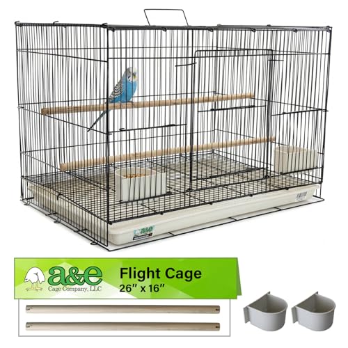 A&E Cage Co 503 Flight Cage – 24"x16"x16" Small Bird Cage with Slide-Out Tray, Wood Perch, Dual Feeding Stations & Carry Handle – Black Powder Coated Cage for Finches, Canaries & Small Birds - color: Black, size: 24.0"L x 16.0"W x 16.0"H