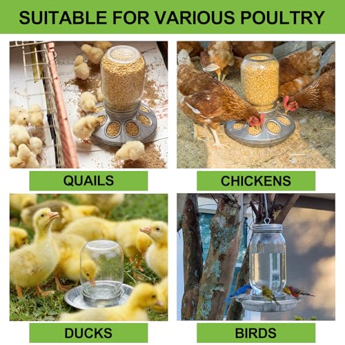 Potchen 2 Pcs Baby Chick Feeder and Waterer Base, Galvanized Steel Feeding Tray with 8 Holes, 1 Quart Compatible with Mason Jars & Standard Jars for Small Birds Chicks(Feeder and Waterer) - style: Feeder and Waterer