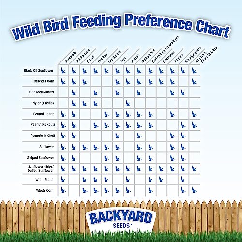 CountryMax Backyard Seeds Peanut Hearts - High-Energy Wild Bird Food, 50 lbs (50 Pounds) - size: 50 Pound (Pack of 1), style: Peanut Hearts