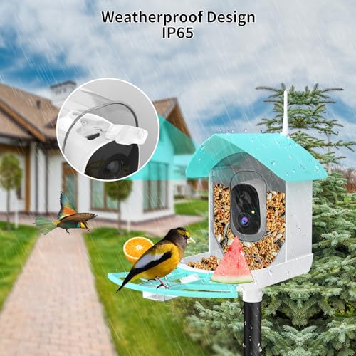 Bird Feeder with Camera, Auto Capture Wiress Bird Feeder Camera, AI Identify Bird Breed,FHD Waterproof Outdoor Bird Watching Camera,Solar-Powered, for Garden,Yard,Park,Ideal Gift for Mom and Dad,Blue | Auto records FHD videos of birds in your backyard,Ins