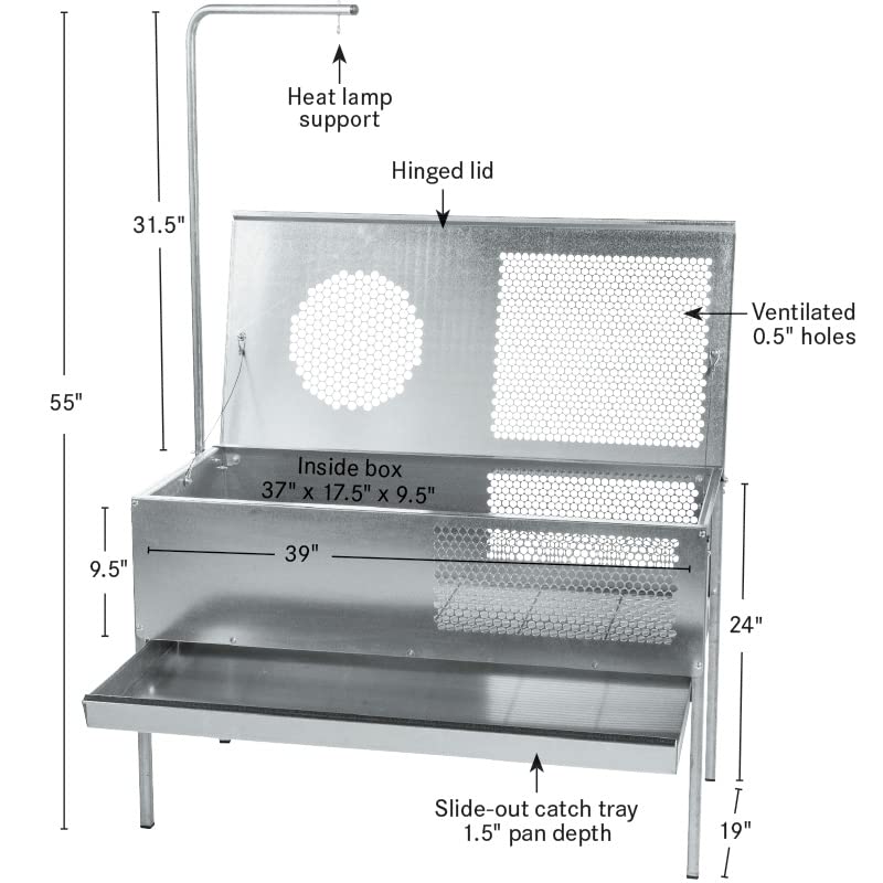Premier 1 QuikClean Chick Brooder – Hinged Lid & Removable Collection Tray | Hinged lid, removable collection tray. Slotted wire floor. Broods chicks up to 5–6 weeks. Add-your-own heat source.