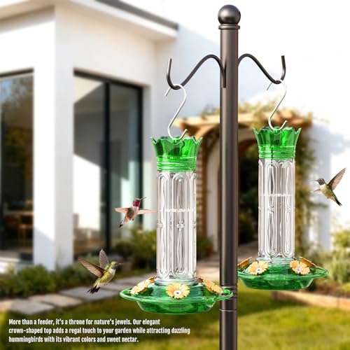 Birdream 10oz Hummingbird Feeders for Outdoors, Plastic Hummingbird Feeder with 5 Bee Guard Feeding Ports & Cleaning Brush, Gift Box Design, Leak Proof, Built-in Ant Moat, Green - color: Green, size: 1 Pack