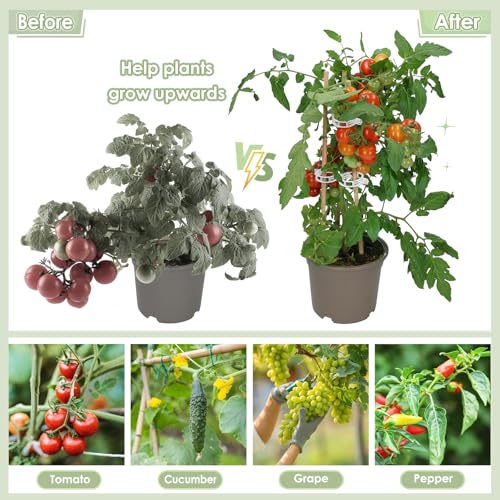 300PCS Plant Support Clips, Reusable Tomato Clips for Climbing Plants | Secured Plastic Tomato Plant Clips Garden Trellis Clips Plant Fixing Clips for Tomato Grape Cucumber Vine