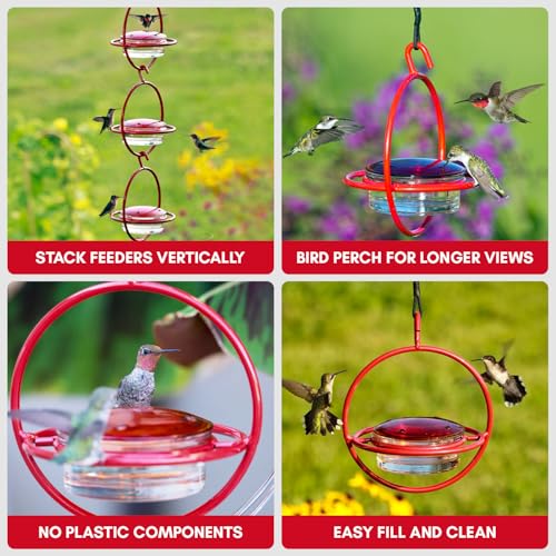 Hummingbird Feeder for Outdoors Hanging, 3.4 OZ Hummingbird Feeders, Glass Bowl with 4 Feeding Ports, Leak Proof Lid & Circular Perch, Bird Feeder (1, Red) - color: Red