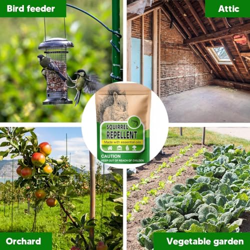 AUDQQM Squirrel Repellent Outdoor, Chipmunk Repellent for Garden, Squirrels Deterrent, Keep Squirrels Away from Yard, Attic & Bird Feeders, Lasting for 3 Month, Easy to Use, 8 Count - size: 1.0 Ounce (Pack of 8)