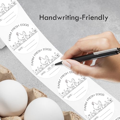 Louise Maelys 2 Inch Farm Fresh Egg Stickers,Farm Stand Supplies | 500 Pcs Egg Carton Labels, Date Stickers for Eggs, Handwriting-Friendly, Farmer's Market,Business - color: Color2