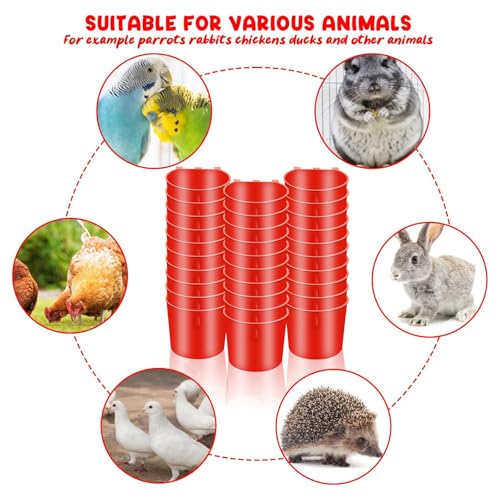 30 Pcs Chicken Coop Feeder Water Cup,8 oz Cage Cups Chicken Feeder Waterer, Cage Cups Birds Hanging Feeders, Chicken Feeder Water Bowl for Parakeet Poultry Pigeon Bunny Wire Cage (Red) - color: Red, size: 8oz
