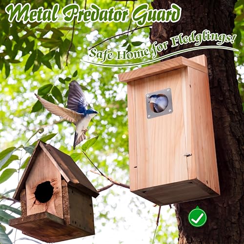 Dreyoo 2 Pack Bluebird Box Houses for Outside,1-1/2'' Entrance Hole Wooden Bird Houses with Metal Guard, Secure Latch,Fledgling Grooves,Air Vents for Bluebird Wren Swallow(Wood) - color: Wood