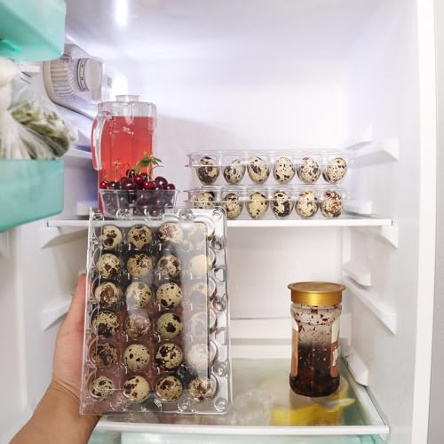 120 Pack Quail Egg Cartons - Clear Plastic Trays Hold 24 Eggs Securely, Ultimate Small Egg Holders for Bulk Storage and Display - size: 120 Pack Quail Egg Cartons 24 Grids