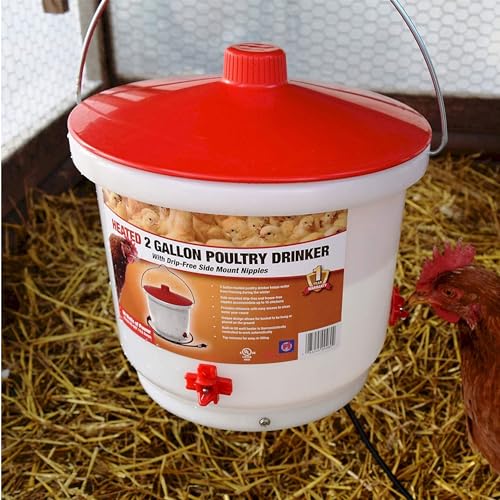 Farm Innovators HB-60P Thermostatically Controlled Heated 2-Gallon Plastic Outdoor Year-Round Poultry Chicken Water Bucket Drinker, White/Red (2 Pack) - color: 2 Gallon, size: 2 Pack