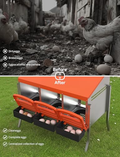 GarveeLife Chicken Nesting Box 3 Hole, Galvanized Steel Nest with Roll Away Egg Collection & Swing Perch, Easy-Clean Laying Box for Hens, Heavy Duty Design for Chicken Coop - color: Orange, size: 3 holes with legs